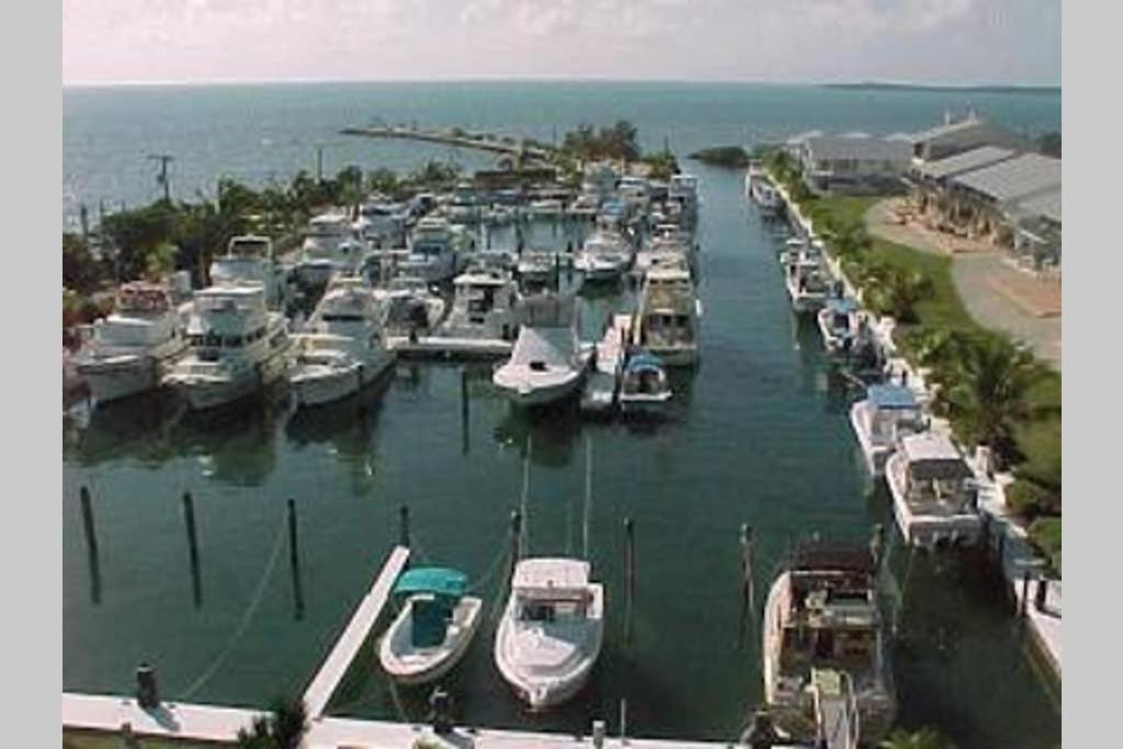 Licensed Mgr - 2/2 Villa - Oceanfront Beach Resort - Saltwater Lagoon & Marina! 케이 라르고 외부 사진